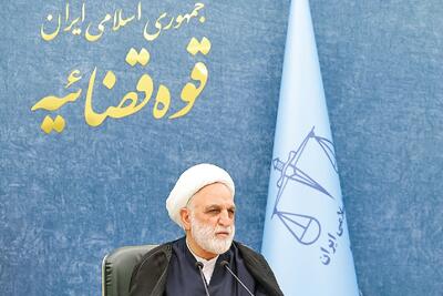  برخورد قضایی با ناهنجاری‌های سازمان یافته