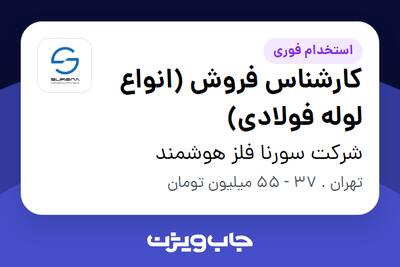  استخدام کارشناس فروش (انواع لوله فولادی) در شرکت سورنا فلز هوشمند