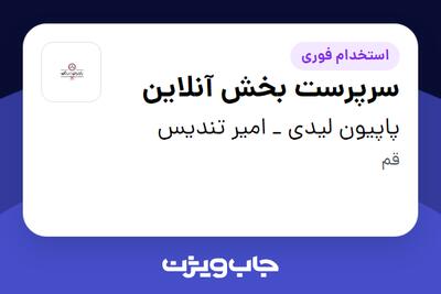  استخدام سرپرست بخش آنلاین در پاپیون لیدی _ امیر تندیس