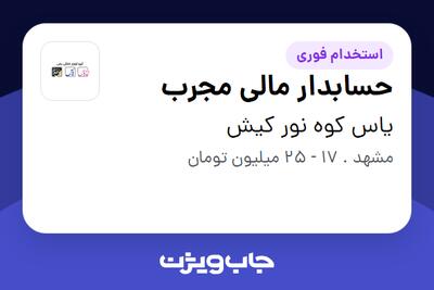  استخدام حسابدار مالی مجرب - خانم در یاس کوه نور کیش