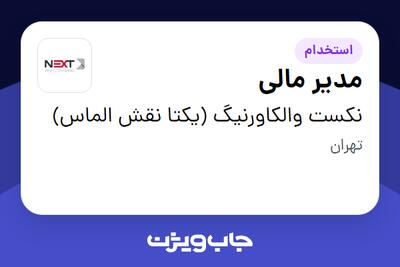  استخدام مدیر مالی - آقا در نکست والکاورنیگ (یکتا نقش الماس)