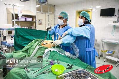  توجه به دو عامل تاثیرگذار در بهبود کیفی خدمات سلامت - کلبه سرگرمی