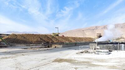  عیار بالای چغندر قند نتیجه مکانیزاسیون و ارقام بومی