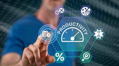  میگنا - تاب‌آوری و بهره‌وری