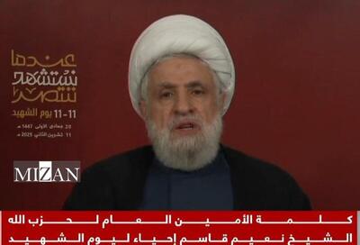   شیخ نعیم قاسم: دیپلماسی و مذاکرات هیچ‌گاه مانع اشغالگری اسرائیل نشده است