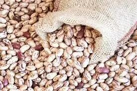  قیمت جدید لوبیاچیتی در بازار