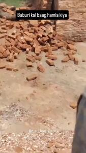 فیلم کشته شدن پلنگ در هند پس از حمله به مرد