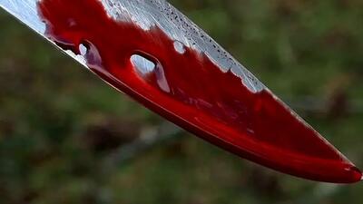  قاتل افغانستانی در گاوداری پنهان بود / قتل در بهارستان تهران بازداشت در شهرضا