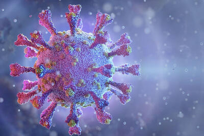  واکنش وزارت بهداشت به شیوع کرونای تیغی در کشور