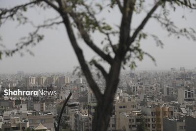  پیش‌بینی هواشناسی مشهد و خراسان رضوی امروز (چهارشنبه، ۲۱ آبان ۱۴۰۴) | انباشت آلاینده‌های فسیلی، هوای مشهد را در روزهای آینده ناسالم می‌کند