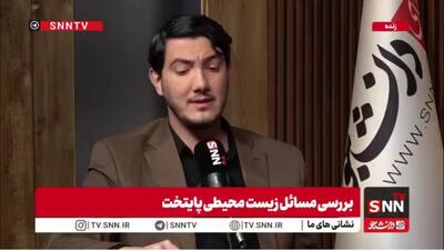  مدیرکل محیط زیست شهرداری تهران: کاشت انبوه درختان کاج در پاک چیتگر و سرخه حصار اشتباه بزرگی بود