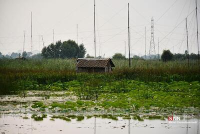  انتقاد رئیس دانشگاه تربیت مدرس از بی توجهی به پژوهش‌های دانشگاهی در حوزه آب/ اگر این طرح‌ها به مرحله اجرا برسند خطرات کاهش پیدا می‌کند