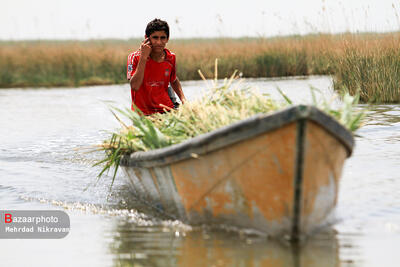  ۲۰۰ هزار هکتار از تالاب شادگان خشک شده است