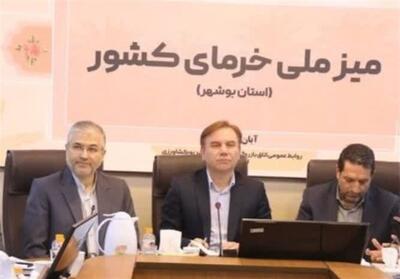  تشکیل کنسرسیوم صادراتی خرما و ارتقای فرآوری؛ راهبرد بوشهر برای جهش صادرات ملی خرما - تسنیم