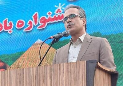  رقم‌های جدید بادام زمینی به‌زودی در مزارع گیلان - تسنیم