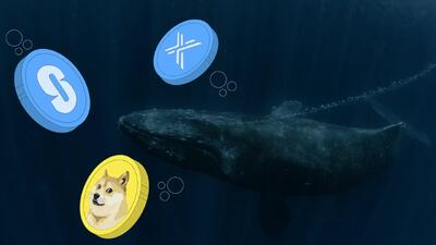  ۲ آلت‌کوین منتخب نهنگ‌ها برای جهش بزرگ دسامبر