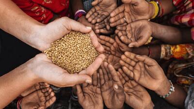  بحران پنهان گرسنگی؛ جرقه‌ای برای خشونت و فروپاشی حتی در کشورهای ثروتمند