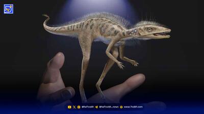  کشف دایناسوری کوچک به اندازه یک گربه خانگی!