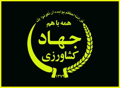  سقف واردات دانه‌های روغنی و کنجاله افزایش یافت