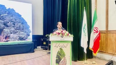  معاون استاندار یزد: سرو ابرکوه گنجینه‌ای جهانی و نماد هویت ایرانی است