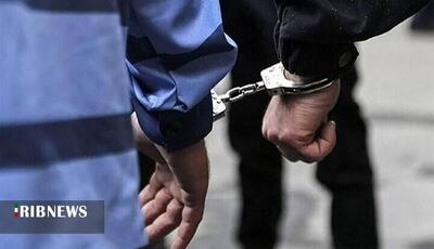  دستگیری مدیر یک صفحه مجازی هنجارشکن در دلفان