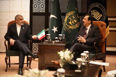  دیدار نیکزاد با رئیس مجلس سنای پاکستان