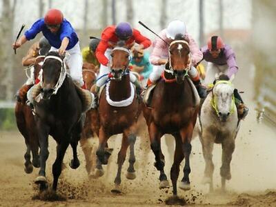 آغاز مسابقات کورس پائیزه سوارکاری گنبدکاووس به یاد صابر کاظمی