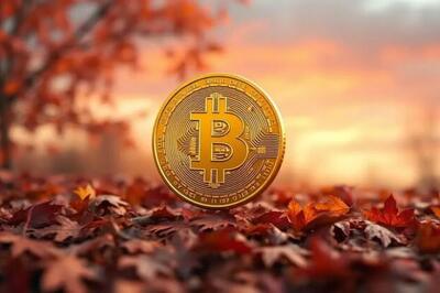  هشدار مورگان استنلی: بزرگ‌ترین رقیب طلا وارد «فصل پاییز» شد