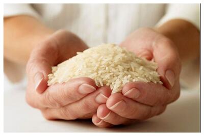  کالاهای اساسی سر به فلک کشید / قیمت برنج هاشمی ۱۷۹درصد گران شد +جدول