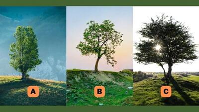  با این تست شخصیت شناسی، میزان نوستالژیک بودن خود را کشف کنید؛ کدام درخت نمایانگر شماست؟