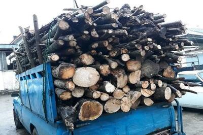  کشف 6 تن چوب قاچاق در شهرستان آوج