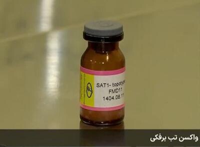  معاون تولید موسسه رازی: واکسن جدید تب برفکی با ویروس غیر بومی SAT۱ تولید می شود