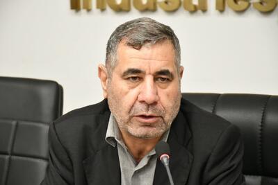  مشاور رئیس جمهور: «فواد شمس» کنشگری دغدغه‌مند و منتقدی مصلح بود