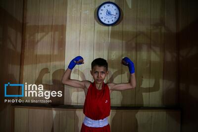  مسابقات بوکس نونهالان