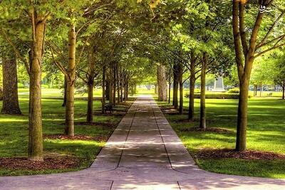  احداث سه پارک جدید در بجنورد؛ گامی در توسعه فضای سبز شهری بجنورد