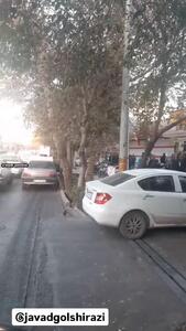  صف عجیب و غریب خرید تخم‌مرغ در اصفهان!