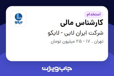  استخدام کارشناس مالی در شرکت ایران لایی - لایکو