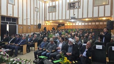  دلیری: سرو ابرکوه پرچمدار حفاظت از میراث طبیعی ایران شود