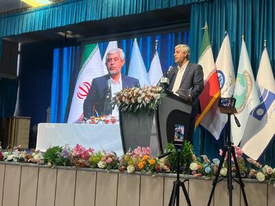  سعیدی: وزیران سفیر معرفی ظرفیت‌های جنوب کرمان در کشور هستند