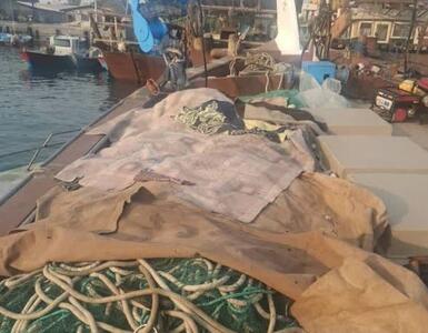  شناور صیادی متخلف در آب های استان بوشهر توقیف شد