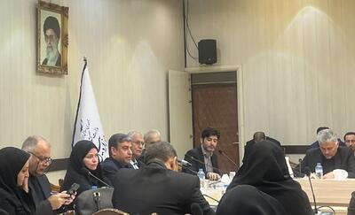  ربیعی:برنامه اصلی دولت هم افزایی اجتماعی و تقویت محله گرایی است