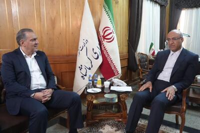  حبیبی: تمرکز بر صنایع کوچک و انرژی پاک راه جهش تولید است