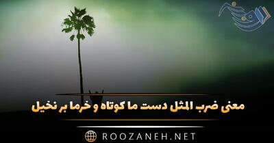  معنی ضرب المثل دست ما کوتاه و خرما بر نخیل (توضیح و شعر آن)