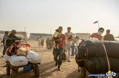  چه خبر از سازمان ملی مهاجرت؟