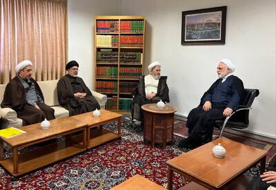  محسنی اژه ای با حضرت آیت الله سبحانی دیدار کرد