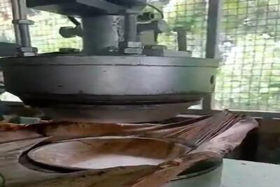  کشاورزی نوین؛ برگای نخل رو که خشک شدن افتادن نمیندازن دور باهاش بشقاب میسازن خداتومن