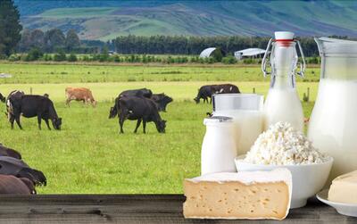  افزایش قیمت لبنیات؛ علت چیست؟