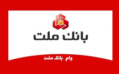  چگونه بدون ضامن و با ۴۸ ماه بازپرداخت وام بگیریم!