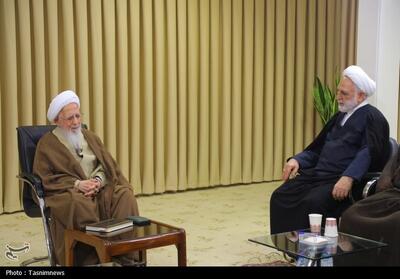  دیدار رئیس قوه قضائیه با آیت‌الله جوادی آملی تصویر - تسنیم