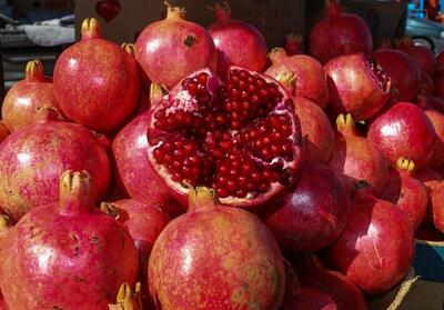  جشنواره انار از نماد فرهنگی تا فرصتی برای جذب سرمایه‌گذار - تسنیم